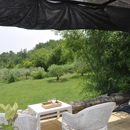 Terre D'oliviers * Issirac